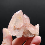 Strawberry Pink Lemurian Seed Quartz Crystal Cluster