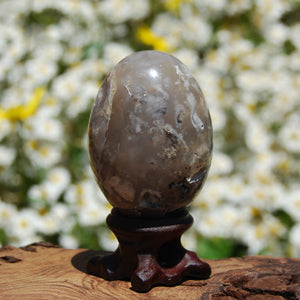 Dendritic Agate Egg