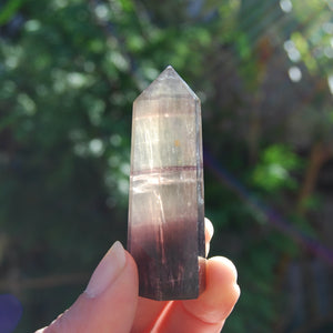 Gold Magenta Fluorite Crystal Towers