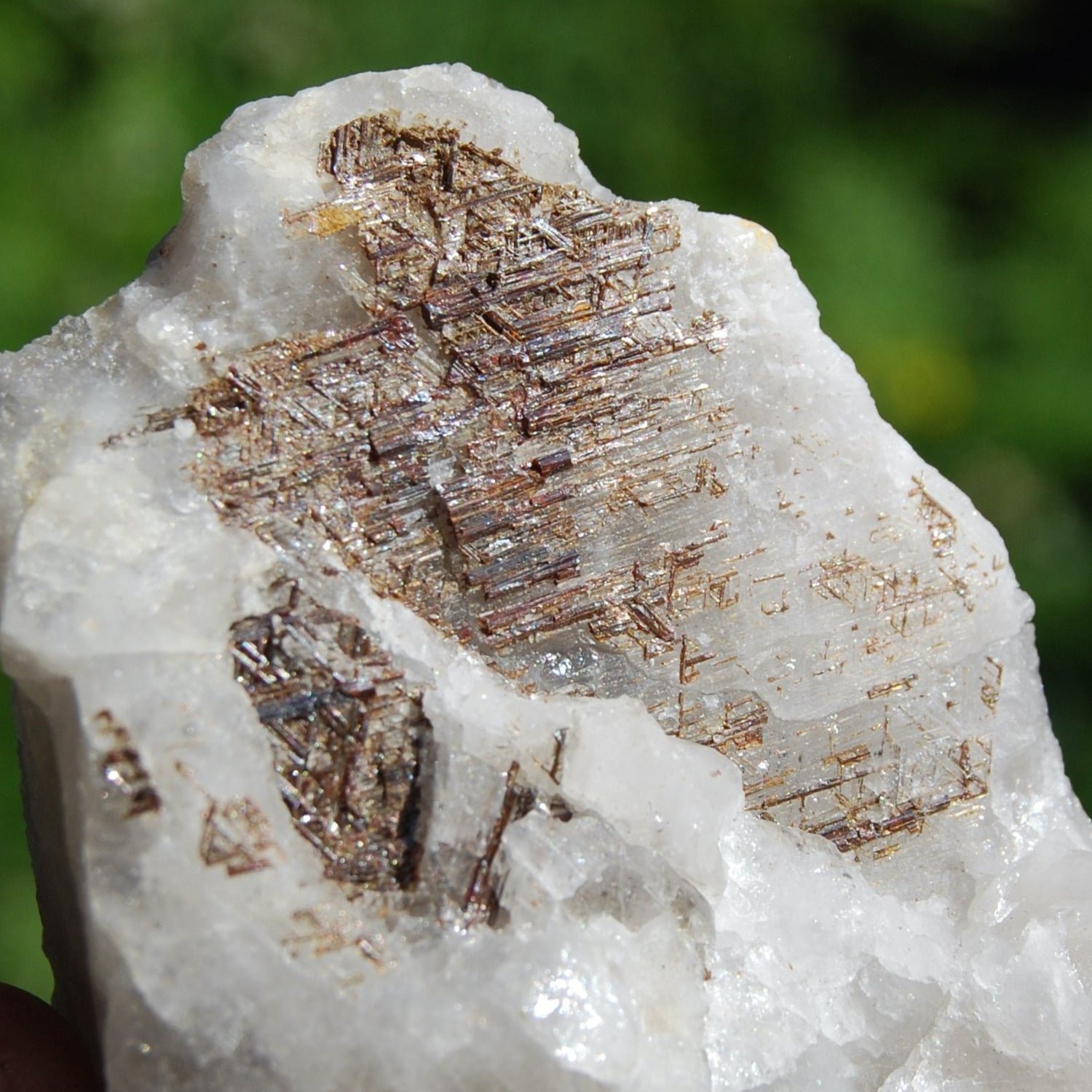 Sagenite Rutile on Quartz Matrix Crystal SpecimenSagenite Rutile on Quartz Matrix Crystal Specimen