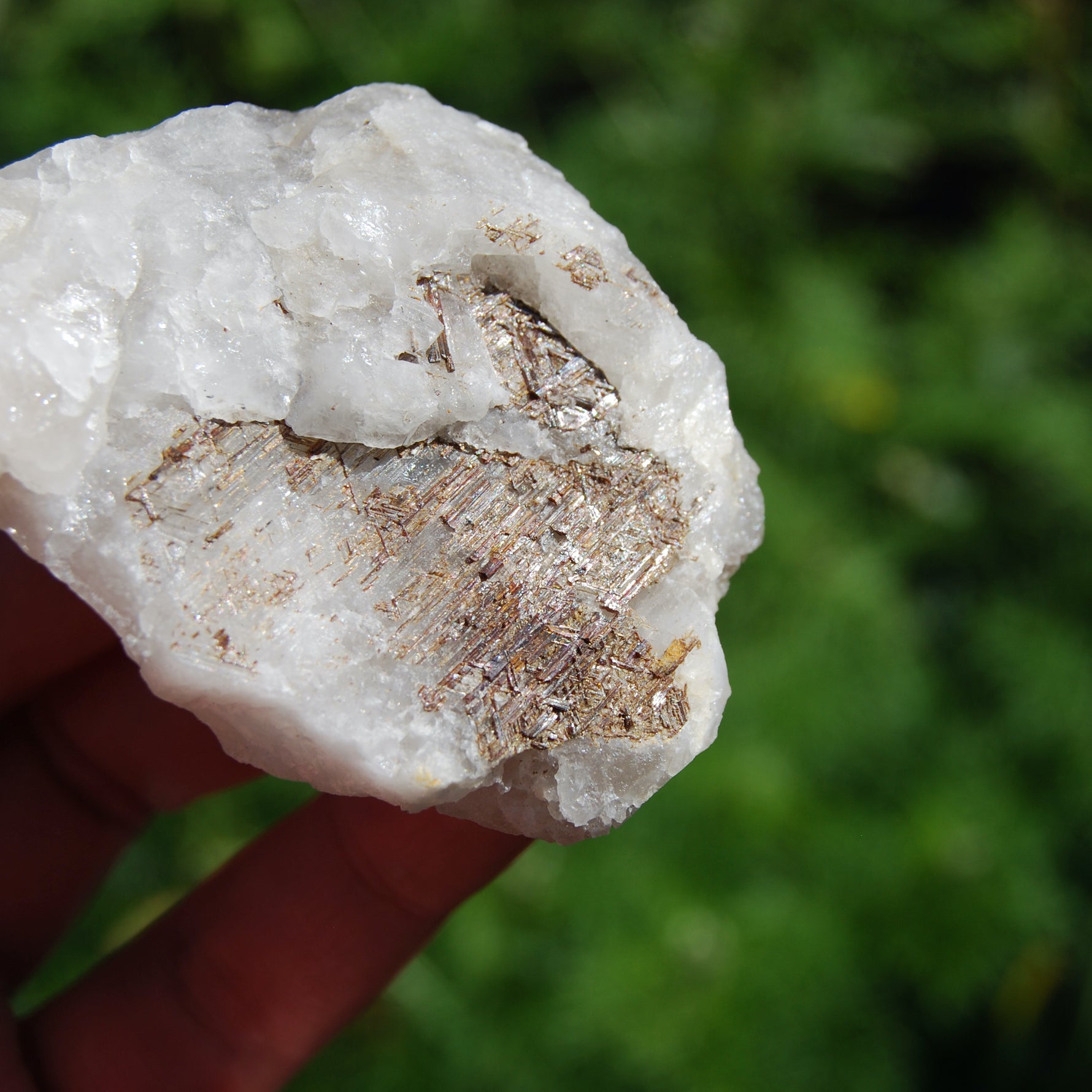 Sagenite Rutile on Quartz Matrix Crystal Specimen