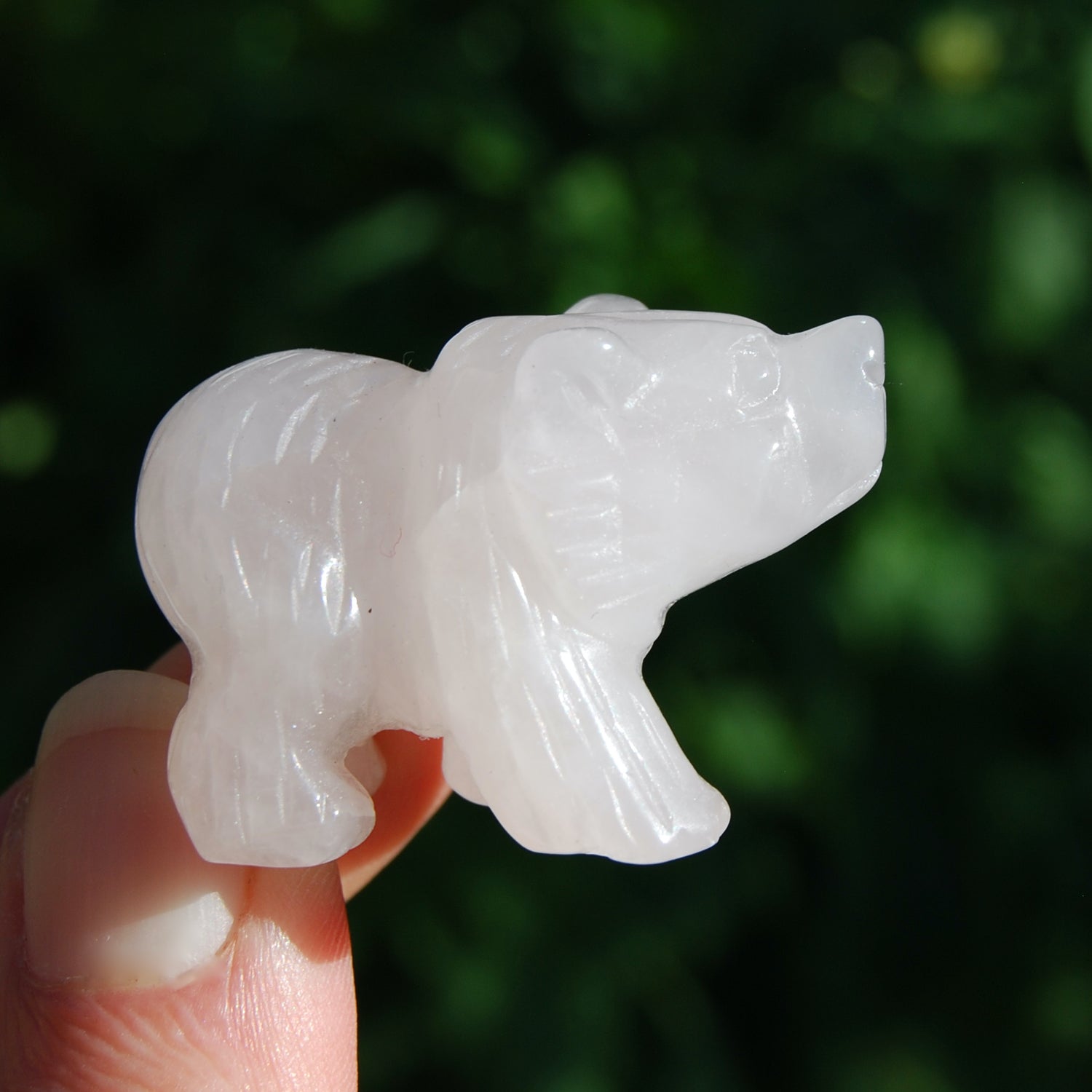 Rose Quartz Carved Crystal Bear