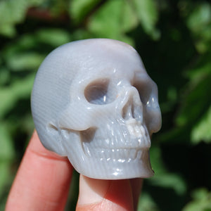 Agate Carved Crystal Skull