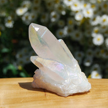 Load image into Gallery viewer, Angel Aura Quartz Crystal Cluster
