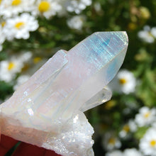Load image into Gallery viewer, Angel Aura Quartz Crystal Cluster
