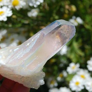 Angel Aura Quartz Crystal Cluster