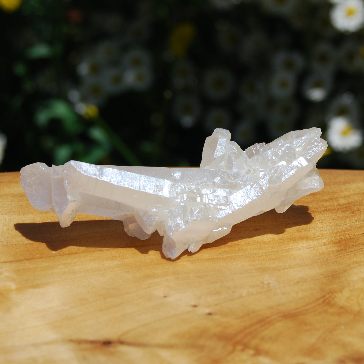 Angel Aura Quartz Crystal Cluster