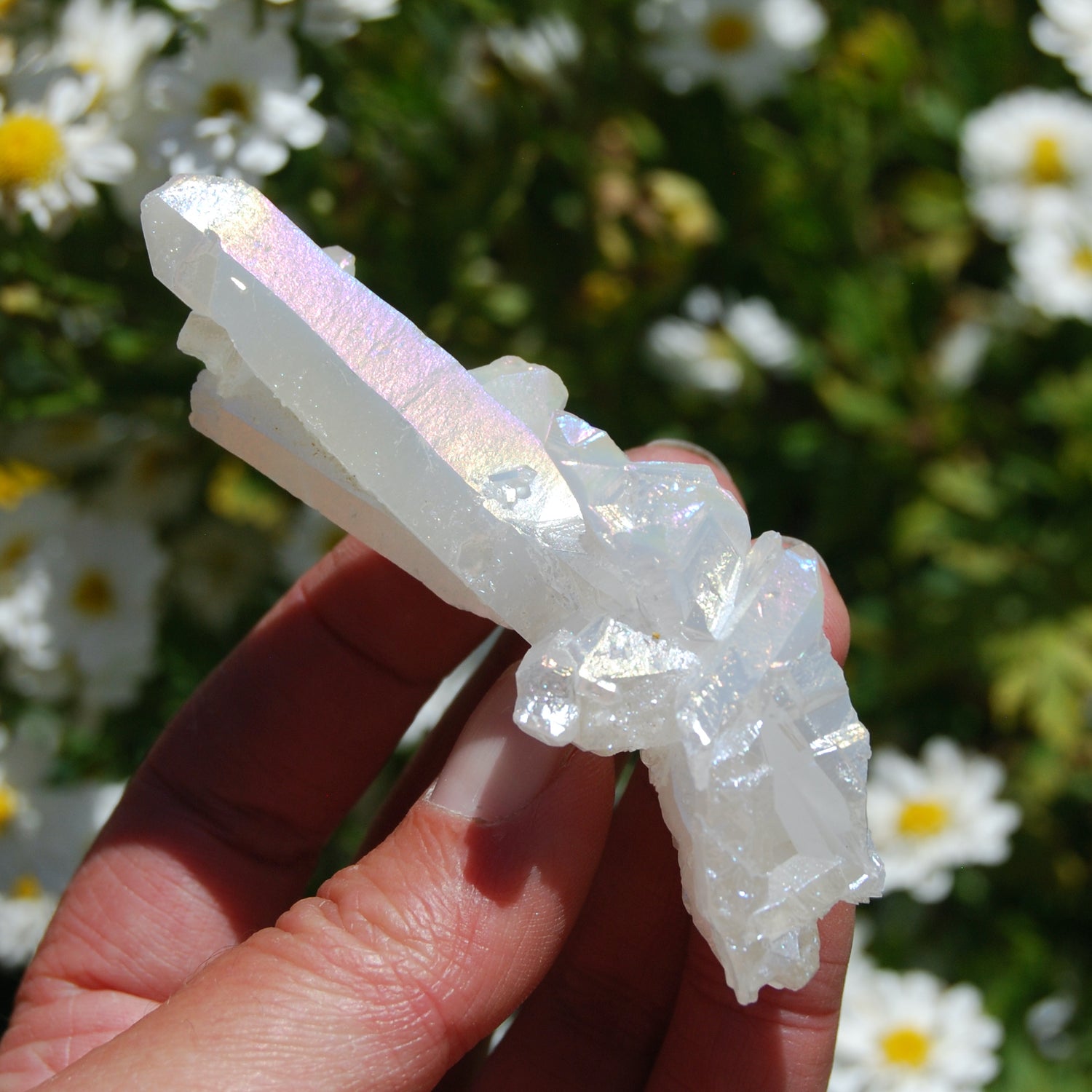 Angel Aura Quartz Crystal Cluster