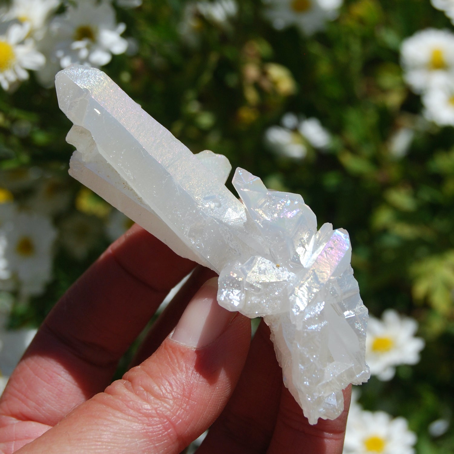 Angel Aura Quartz Crystal Cluster