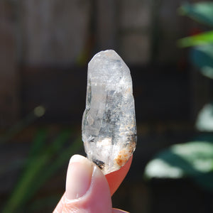 1.8in Rare Tessin Habit Himalayan Kullu Quartz Crystal Stabrary, Rutile Chlorite Specular Hematite High Altitude Crystal, Kullu Valley d7