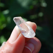 Load image into Gallery viewer, DT Himalayan Kullu Quartz Crystal Laser, Rutile Chlorite Crystal, Kullu Valley
