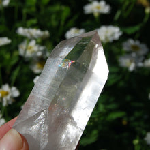 Load image into Gallery viewer, Lemurian Seed Quartz Crystal
