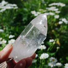 Load image into Gallery viewer, Lemurian Seed Quartz Crystal
