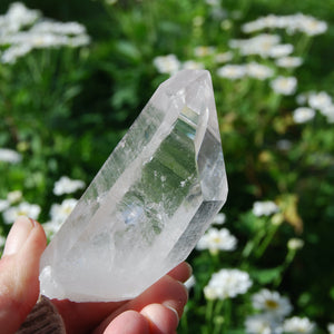 Lemurian Seed Quartz Crystal