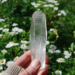 Lemurian Seed Quartz Crystal, Brazil 
