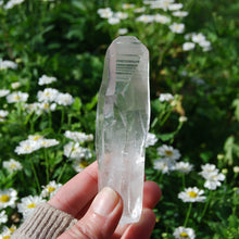 Load image into Gallery viewer, Lemurian Seed Quartz Crystal, Brazil 
