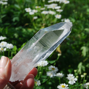 Lemurian Seed Quartz Crystal, Brazil 