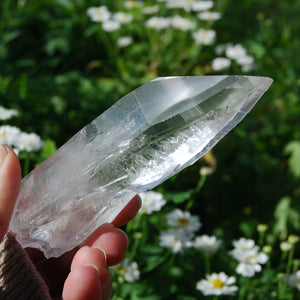 Lemurian Seed Quartz Crystal, Brazil 