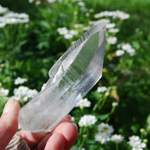 Load image into Gallery viewer, Lemurian Seed Quartz Crystal, Brazil 
