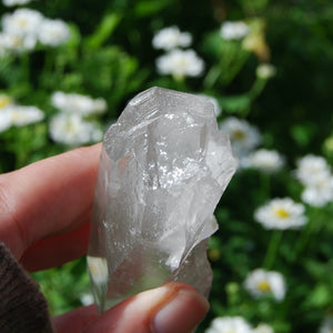 Lemurian Seed Quartz Crystal, Brazil 