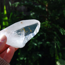 Load image into Gallery viewer, Colombian Lemurian Seed Crystal
