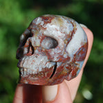 Pietersite Carved Crystal Skull