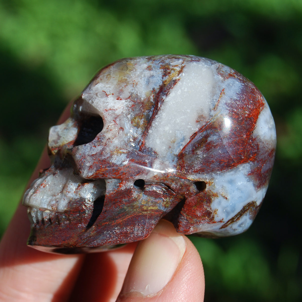Pietersite Carved Crystal Skull