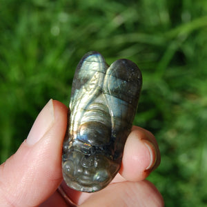 Labradorite Carved Crystal Cicada