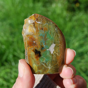 Blue Opalized Petrified Wood Freeform