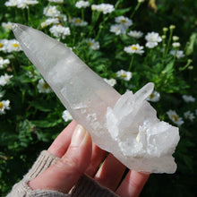Load image into Gallery viewer, Lemurian Seed Quartz Crystal, Brazil
