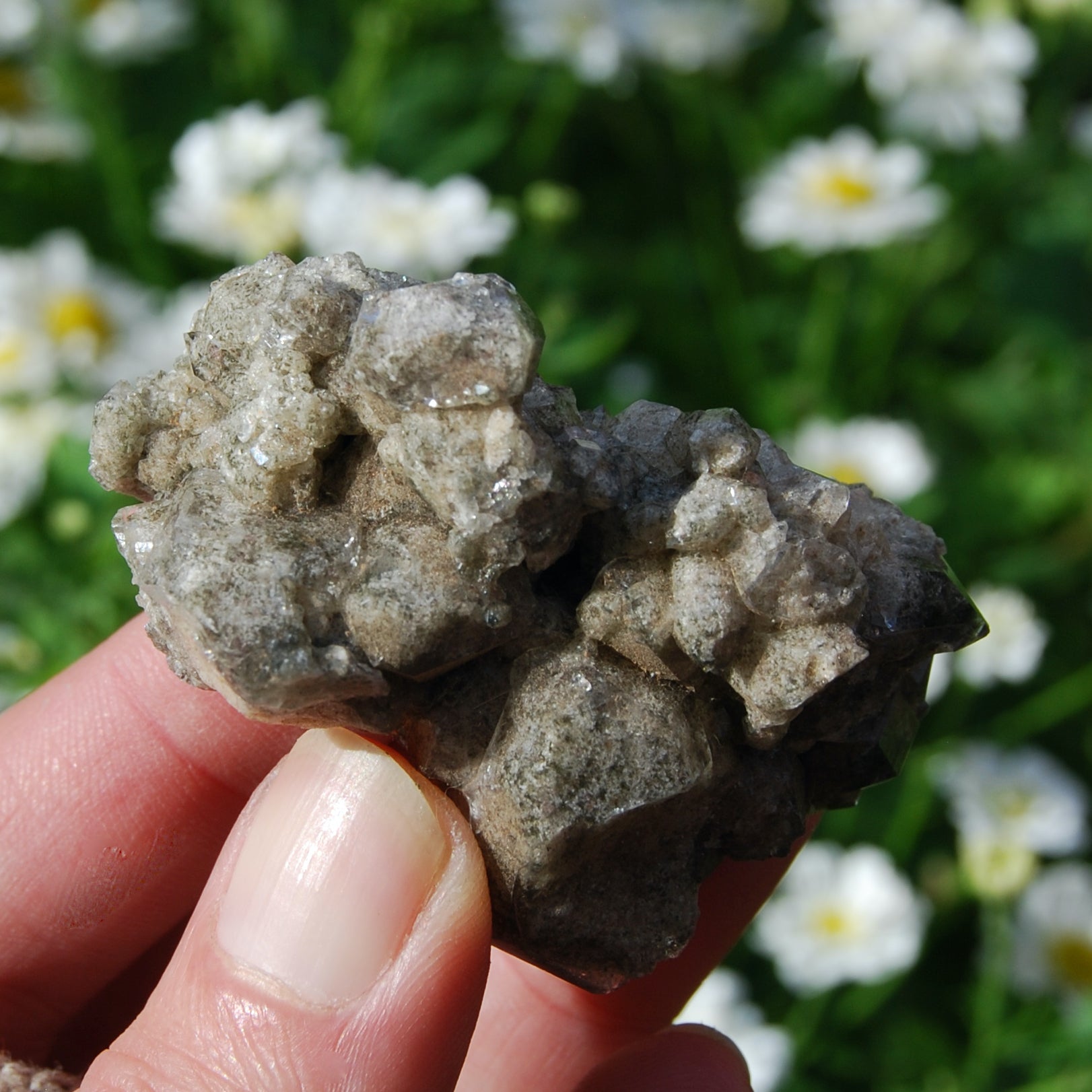 Scenic Chlorite Quartz Crystal Cluster, Brazil