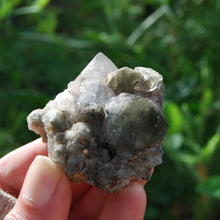 Load image into Gallery viewer, Elestial Chlorite Quartz Crystal Cluster, Brazil
