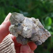 Load image into Gallery viewer, Elestial Chlorite Quartz Crystal Cluster, Brazil
