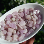 Kunzite Crystal Tumbled Stones, XS Flashy Kunzite Crystals, Afghanistan