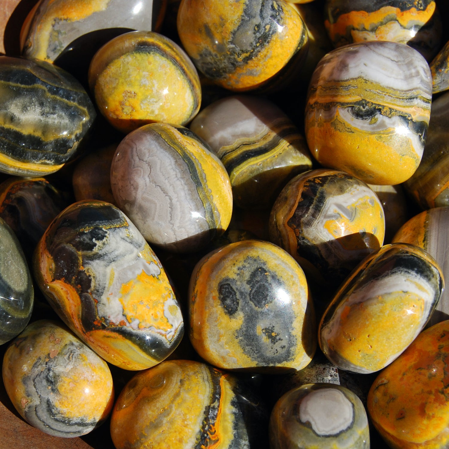 Bumblebee Jasper Tumbled Stones
