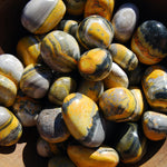 Bumblebee Jasper Tumbled Stones