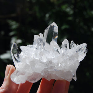 Dow Channeler Silver Quartz Crystal Cluster, Corinto Quartz, Brazil