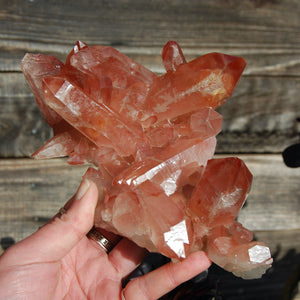 Strawberry Pink Lemurian Quartz Crystal Cluster, Earthquake Inner Child Crystal, Brazil