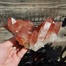 Load image into Gallery viewer, Strawberry Pink Lemurian Quartz Crystal Cluster, Earthquake Inner Child Crystal, Brazil
