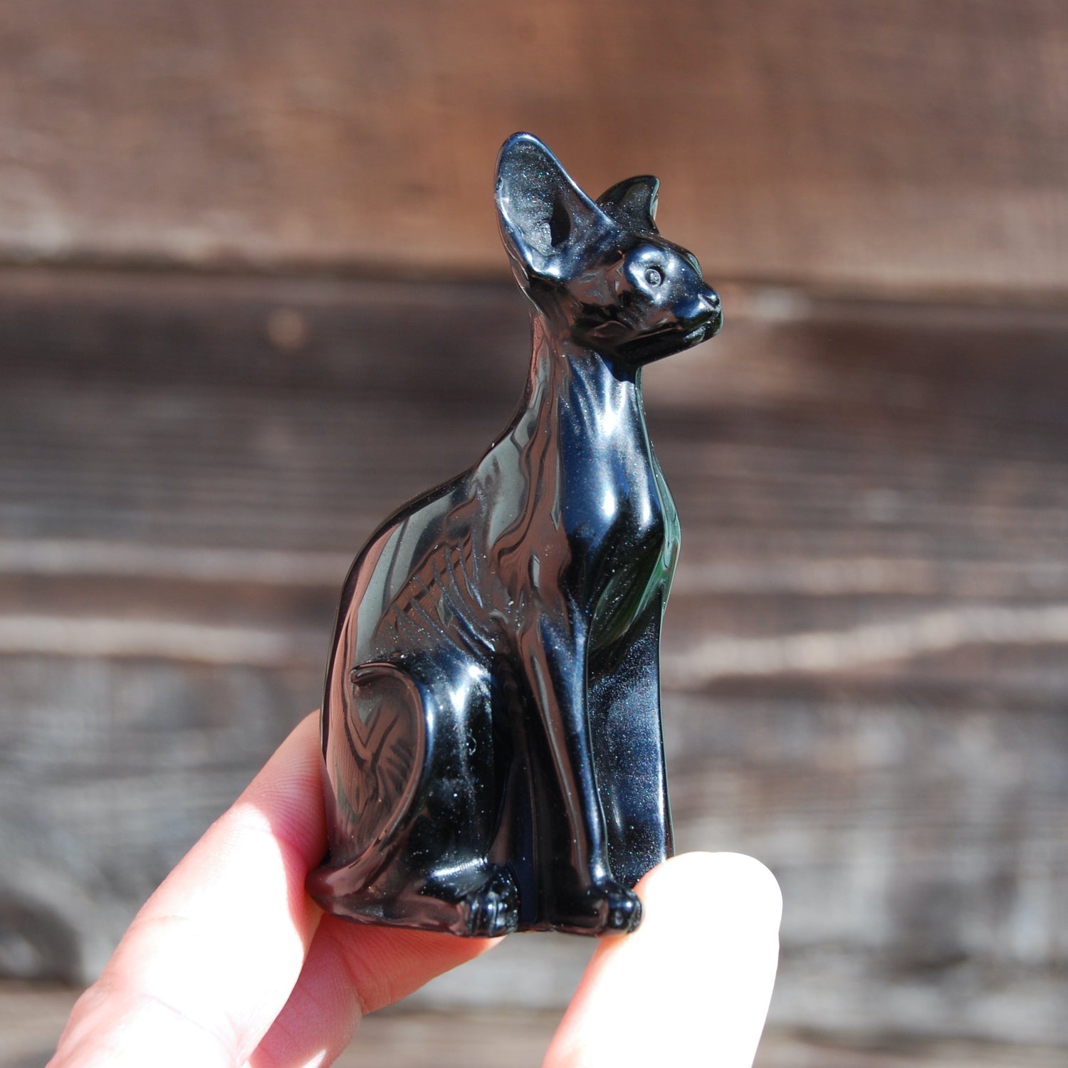 Obsidian Hairless Sphinx Cat Crystal Carving