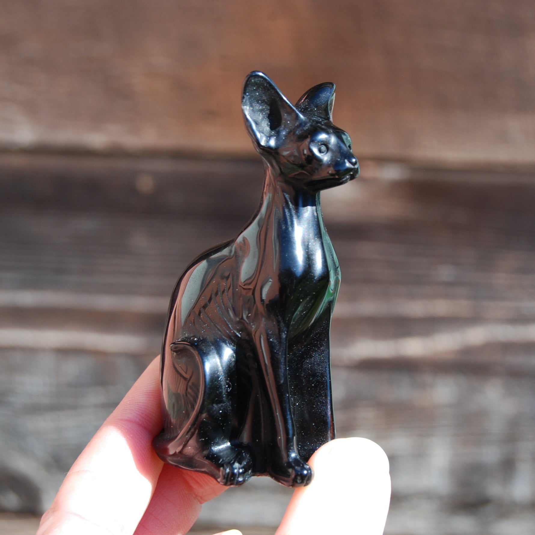 Obsidian Hairless Sphinx Cat Crystal Carving