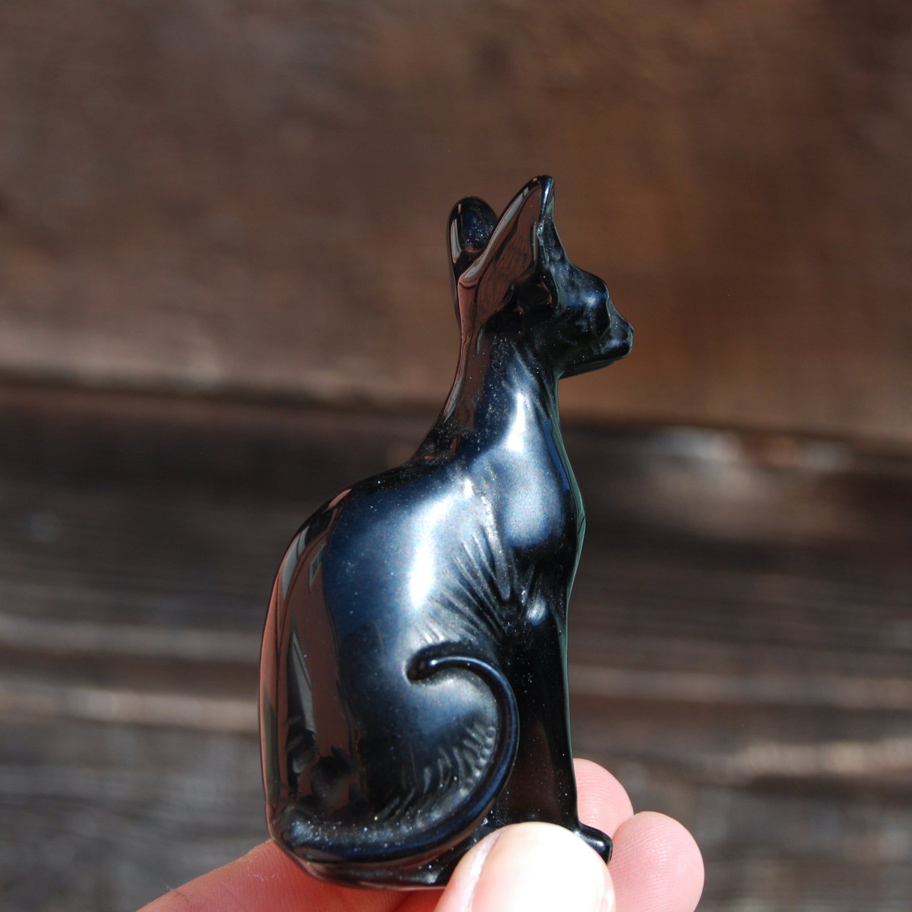Obsidian Hairless Sphinx Cat Crystal Carving
