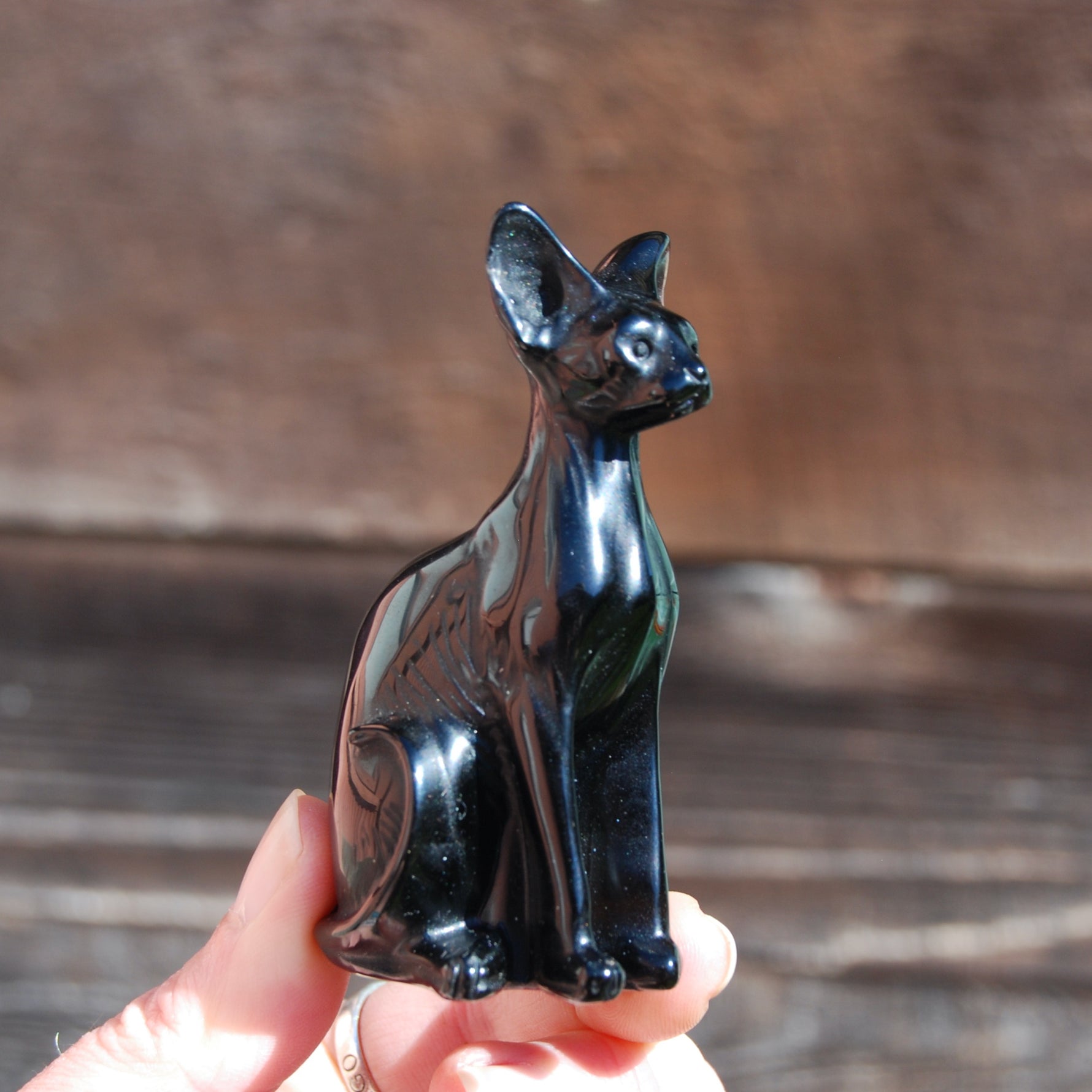 Obsidian Hairless Sphinx Cat Crystal Carving