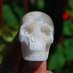 Flower Agate Sakura Agate Geode Crystal Skull Realistic 