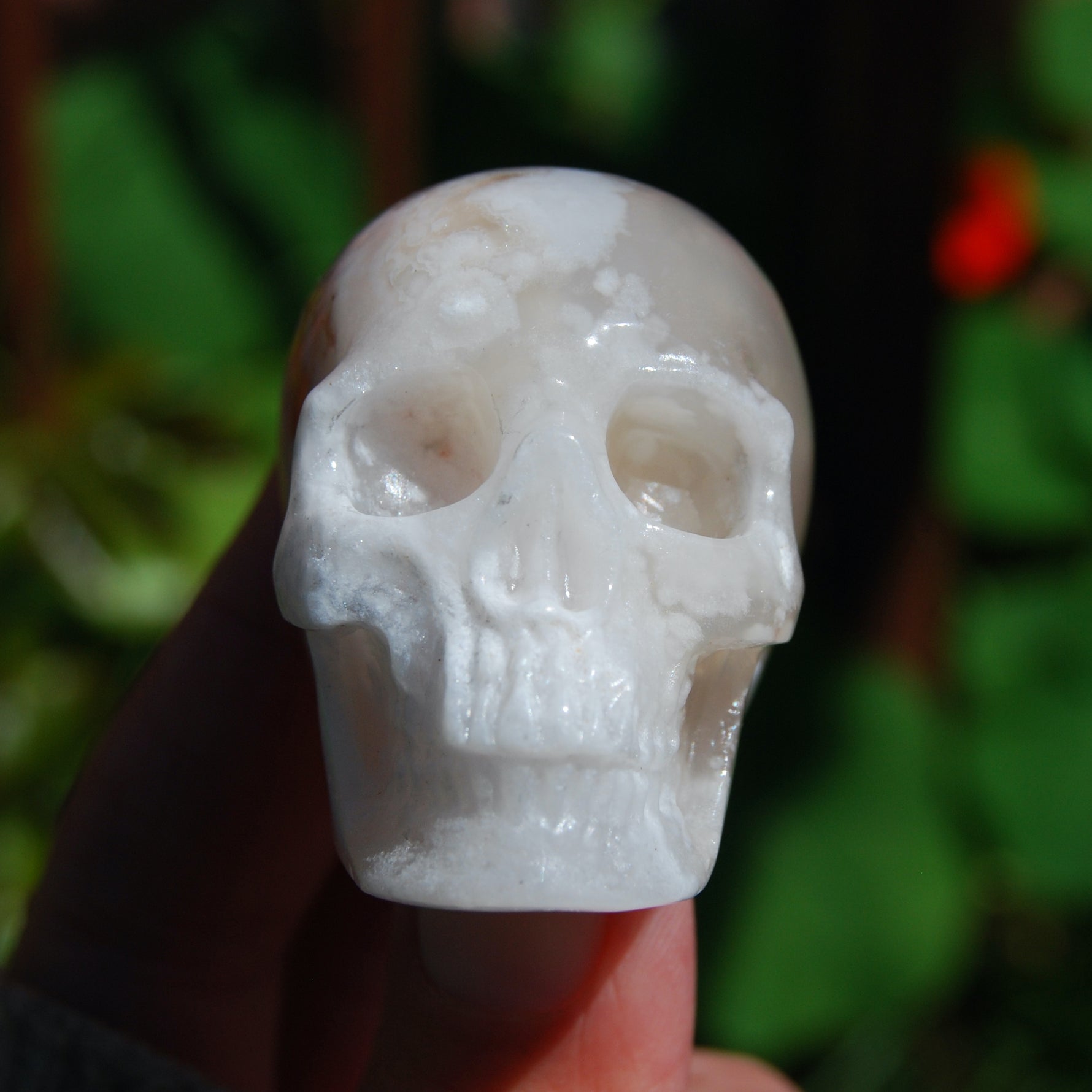Flower Agate Sakura Agate Geode Crystal Skull Realistic 