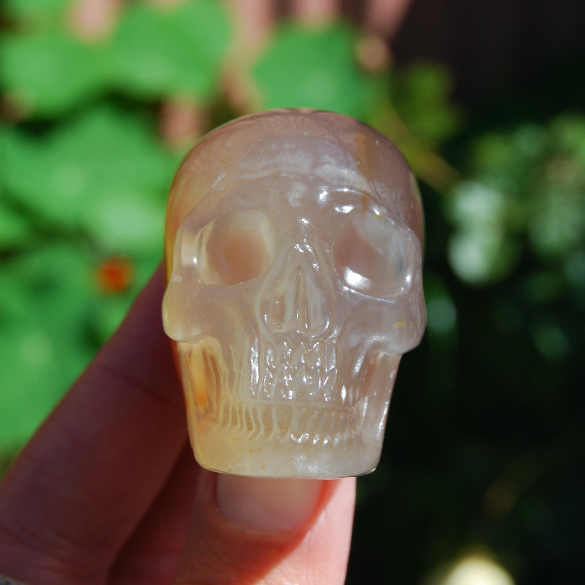 Carnelian Agate Crystal Geode Skull 