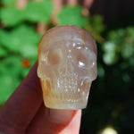 Carnelian Agate Crystal Geode Skull 