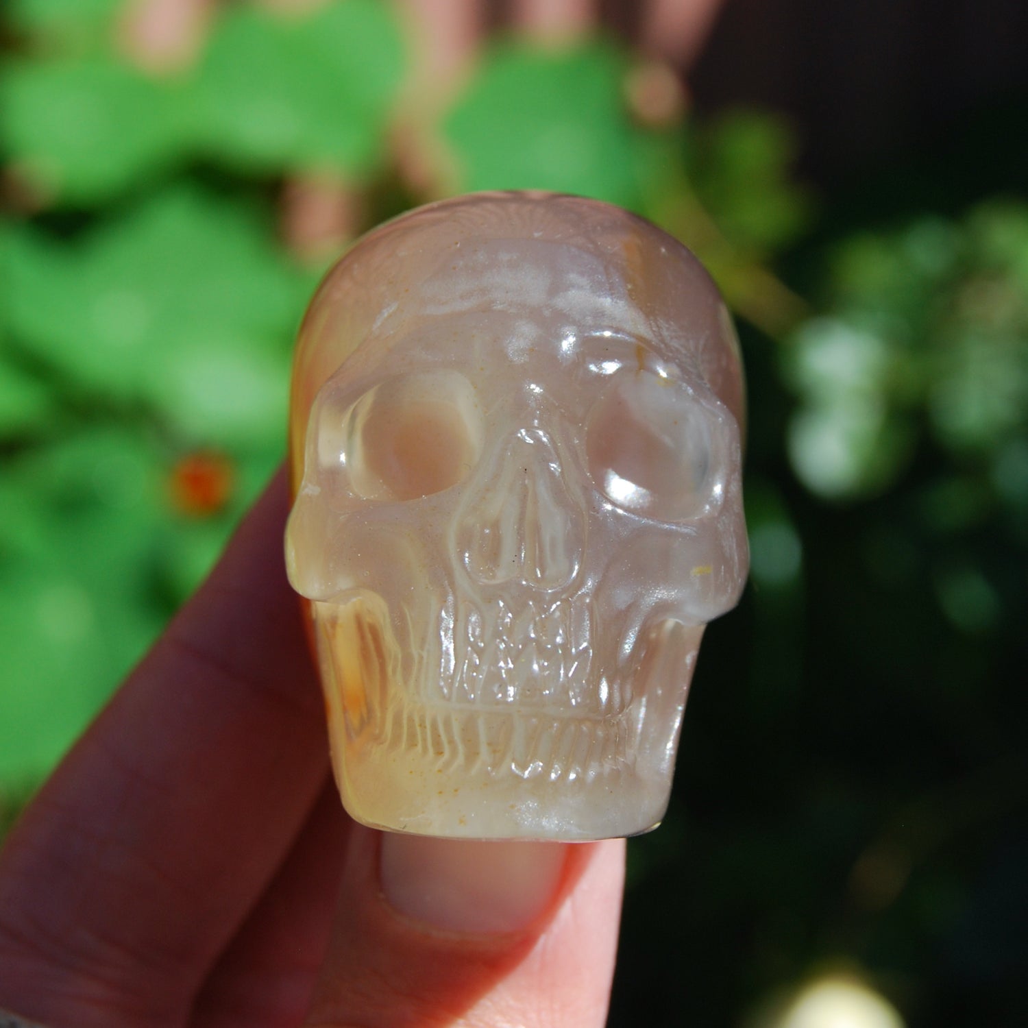 Carnelian Agate Crystal Geode Skull 