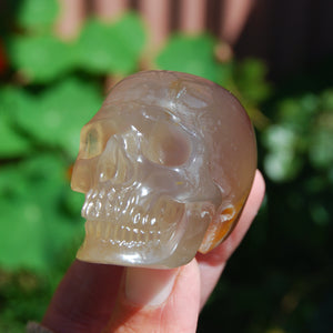 Carnelian Agate Crystal Skull