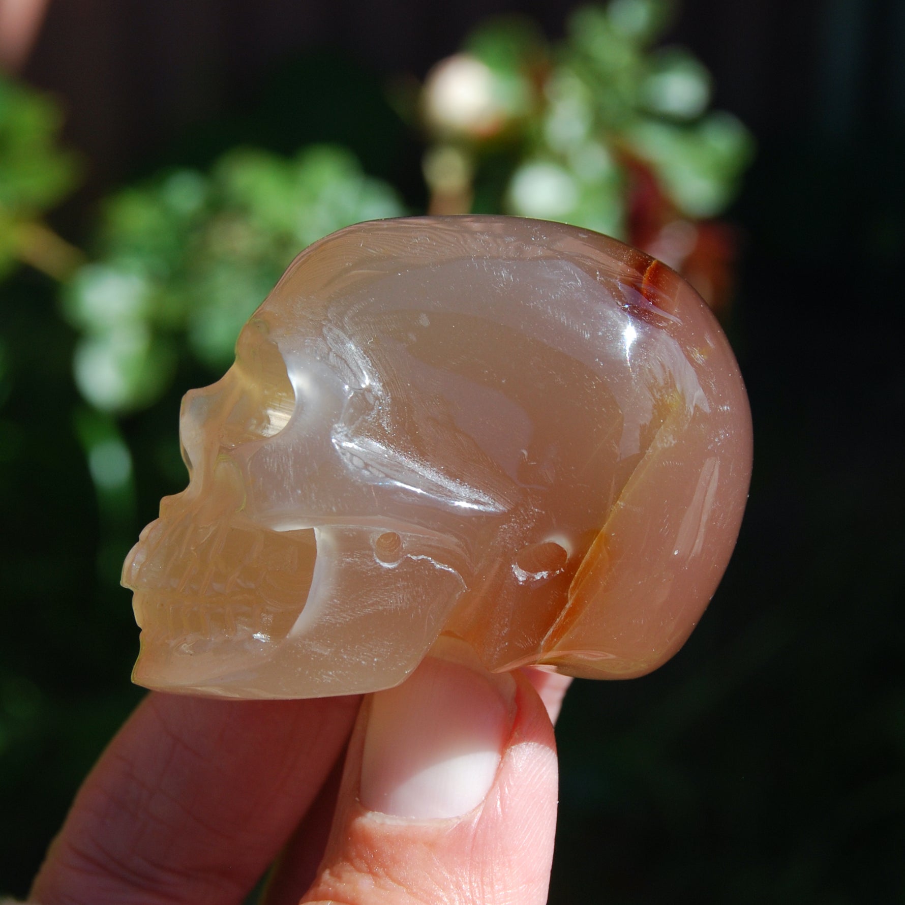 Carnelian Agate Crystal Skull
